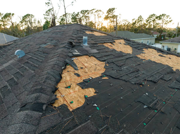 Best Green or Eco-Friendly Roofing Solutions  in Experiment, GA